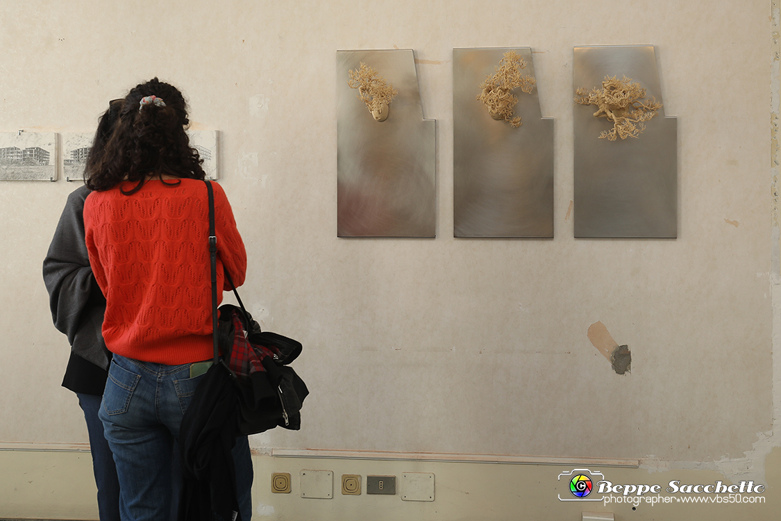VBS_4084 - Paratissima 2021 - 17.ma Edizione.jpg